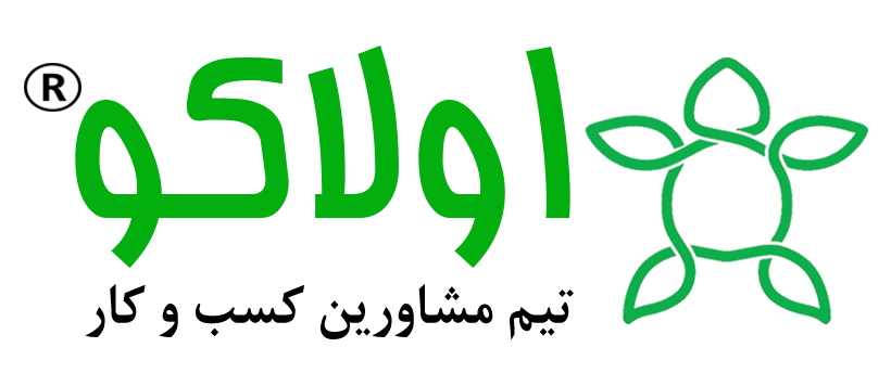 تیم مشاورین کسب و کار اولاکو